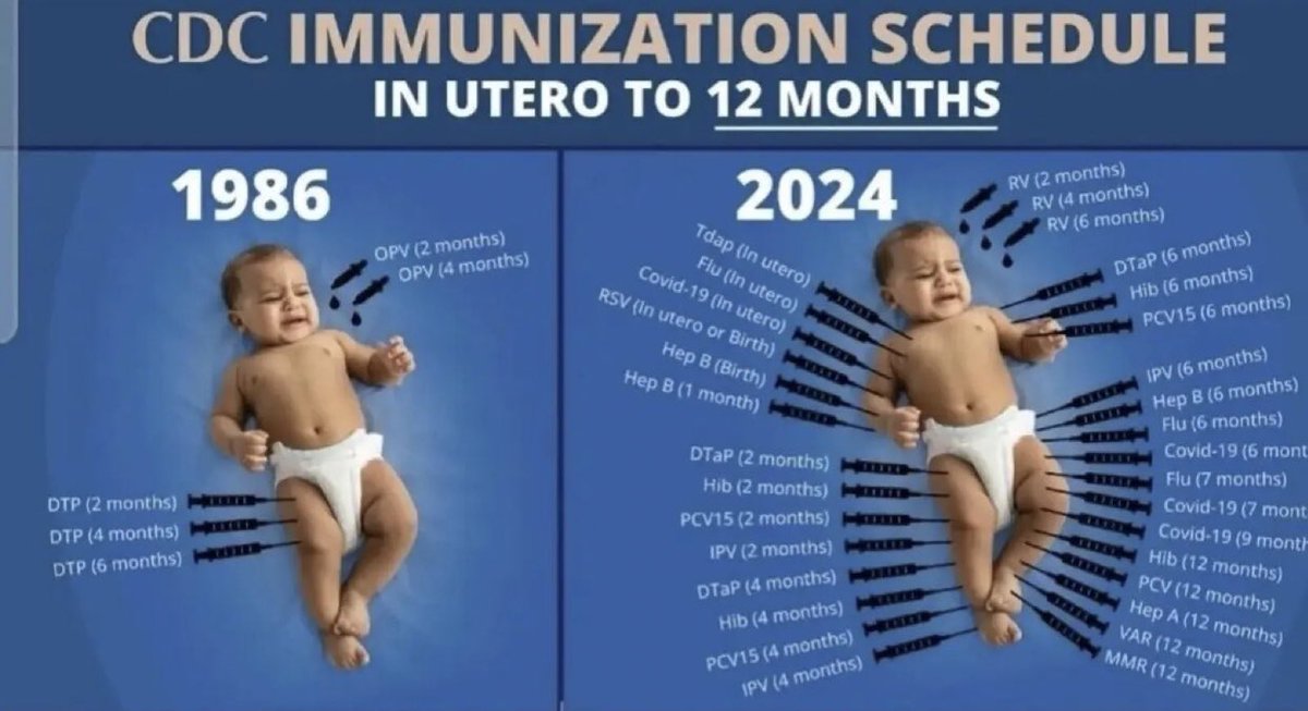 ParkyFarm 🐸🔗🟧 tweet media