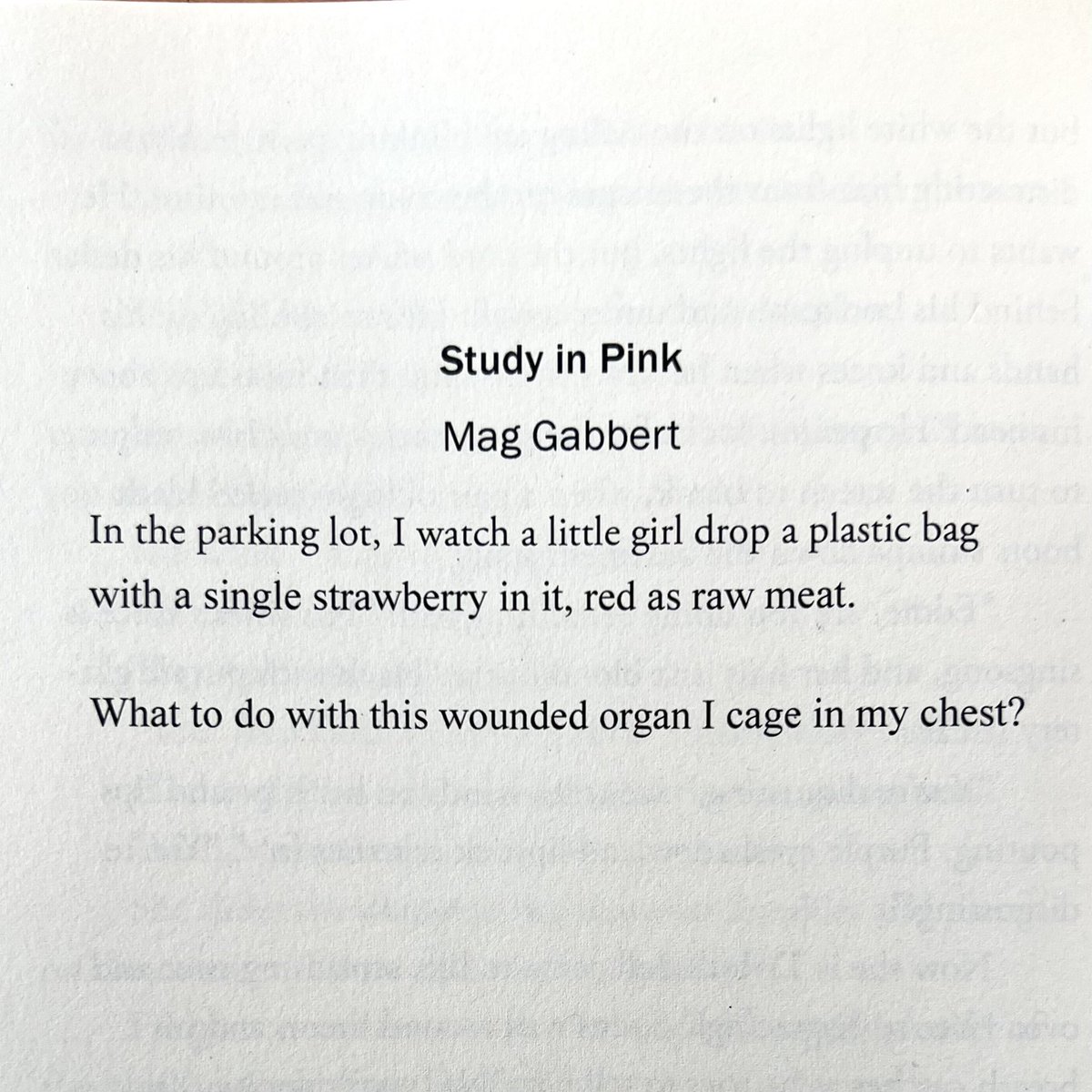 mag_gabbert's tweet photo. V small new poem of mine in the latest issue of @PermafrostMag https://t.co/6eqawXLiXm