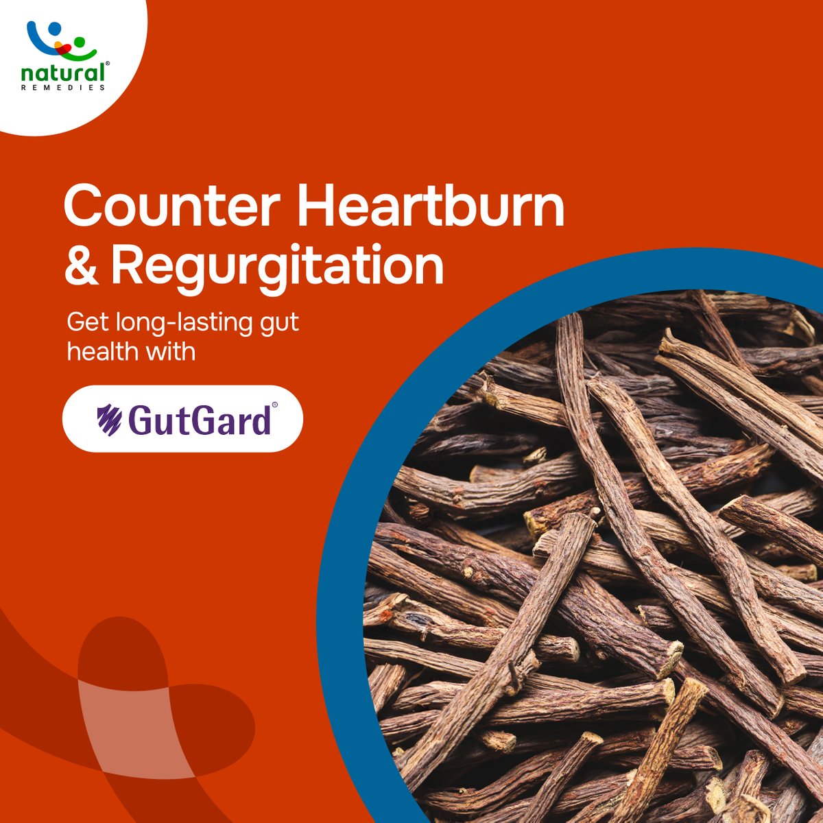 hhp_nr's tweet image. GutGard® is the best natural digestive wellness solution! Experience relief from digestive discomfort with GutGard®, a clinically proven, natural solution designed to promote gut health and reduce heartburn and regurgitation. 

#BotanicalExtract #BrandedExtract #GutGardWellness