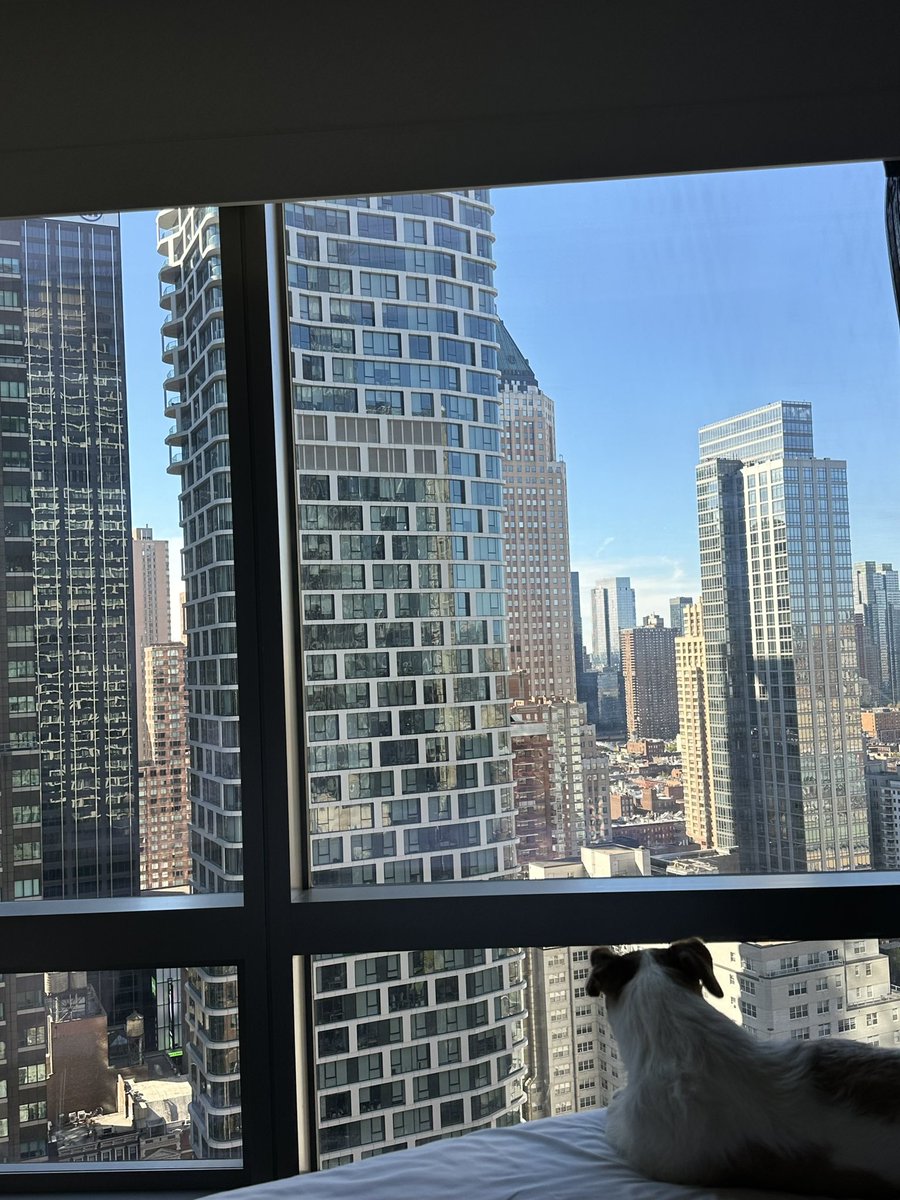 YesimGulsel's tweet photo. Gorgeous Sunday ☀️#newhome  I believe in new beginnings, I believe in #USA Can’t wait #Trump to win. Can’t wait to be useful to this amazing country and hopefully the world. #USinnovation #entrepreneur #startup https://t.co/Q09vxCnu6Z