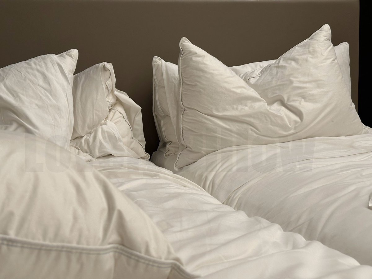lovelypillow5's tweet photo. Hotel Room Luxes
Beds Full of Pillows
Feather Down Fluffyness
Enjoy the Joys https://t.co/8glsPd4r9I
