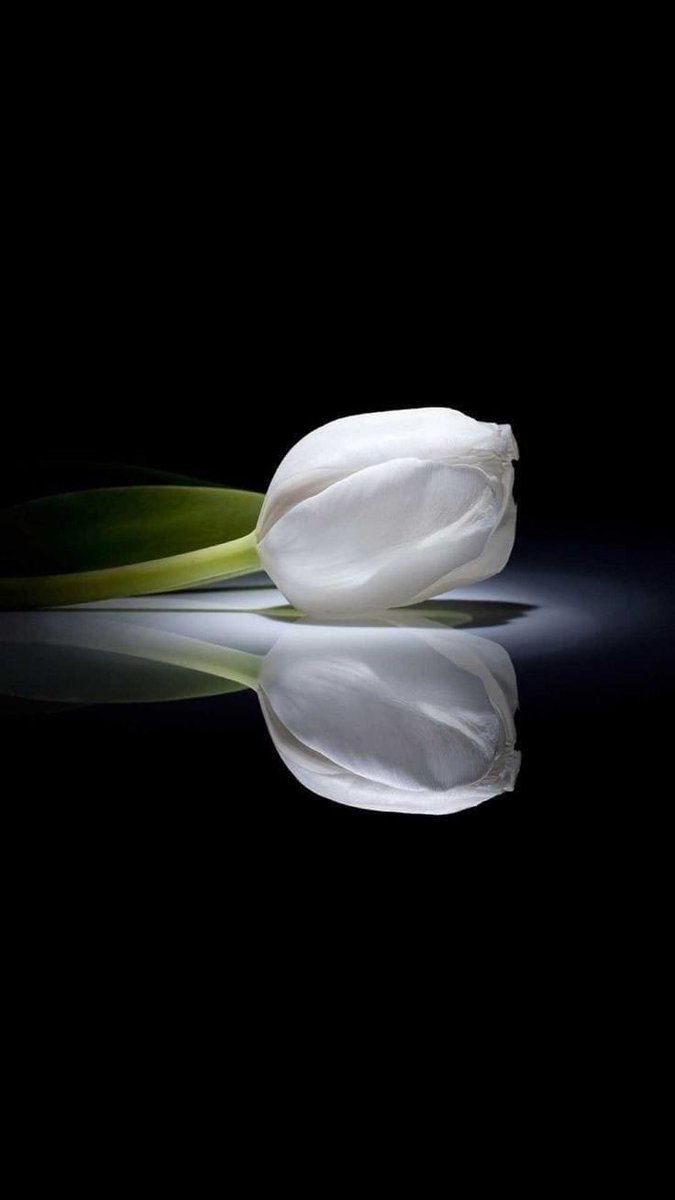 𝐀 𝐒𝐚𝐭𝐭𝐚𝐫 (@as_t40) on Twitter photo #GPG®️
<a href="/Ghz97/">✪𝗚𝖍𝖆𝖟𝖆𝖑𝖆𝖍 𝗦𝖆𝖉𝖆𝖋✪</a> <a href="/Aly9a/">Aly9a</a>
<a href="/Fat9T/">Arshia🥀🍂</a> <a href="/glmsjd/">𝑺𝒂𝒋𝒋𝒂𝒅 ✨</a>
<a href="/Znt33/">🦋ZêēñäT</a> <a href="/Triq25/">⤹𝙈𝙪𝙝𝙖𝙢𝙢𝙖𝙙 𝙏𝙖𝙧𝙞𝙦⤸</a>
<a href="/1GPTI/">Misbah</a> <a href="/Trq88/">✍︎⸙𝐓αɾιϙ 𝐌υɾƚαȥα࿈</a>
<a href="/As_t40/">EriKaCao</a> <a href="/_1rha/">بابا کی لاڈلی</a>
<a href="/ik_553/">.⃝ ⃝ ⃝ ⃝ ⃝💛マスカン 𝐌𝐮𝐬𝐤𝐚𝐧💖. ⃝ ⃝ ⃝ ⃝ ⃝ ⃝💚</a>
<a href="/YPS26/">𝑌𝑎𝑆𝑖𝑅 𝑆𝒉𝑎𝒉𝑍𝑎𝐷</a>
<a href="/zz70m/">🌸Ameer Zahir🇵🇰</a>
<a href="/1Ashi5/">Aisha Hashmi</a>
<a href="/n_oo_r7/">ماہ نور💫</a>
<a href="/Sd_S10/">Sadam Rajput</a>
<a href="/hussu_1/">Syed Hassan Bilal Kazmi</a>
<a href="/BolSdq/">Siddique Jan</a>
<a href="/Qs3488/">Qamar Shahzad🦅</a>
<a href="/SKN322/">SHAHRYAR KHAN</a>
@Qen_pro
<a href="/shd0016/">Shahid</a>
<a href="/TouchKc/">KC</a>
<a href="/Noorr_06/">🇳🅞︎🅞︎🅡︎</a>
<a href="/OdriSeva/">Odri Seva</a>
<a href="/Sc2017W/">SC2017</a>
@Arsl_4 <a href="/Hfz48/">Hᴀғᴇᴇᴢᴀʜ Aᴋʙᴀʀ</a>
<a href="/1_ruer/">king</a> @IKVEBS
<a href="/Ghz21/">⍟𝐆𝐡𝐚𝐳𝐚𝐥𝐚 𝐒𝐚𝐝𝐚𝐟⍟</a> @Ozlerntr
@Lub_03 <a href="/Ghz79/">❃ 𝔾𝕙𝕒𝕫𝕒𝕝𝕒𝕙 𝕊𝕒𝕕𝕒𝕗 ❃</a> #GPG®️
<a href="/Ghz97/">✪𝗚𝖍𝖆𝖟𝖆𝖑𝖆𝖍 𝗦𝖆𝖉𝖆𝖋✪</a> <a href="/Aly9a/">Aly9a</a>
<a href="/Fat9T/">Arshia🥀🍂</a> <a href="/glmsjd/">𝑺𝒂𝒋𝒋𝒂𝒅 ✨</a>
<a href="/Znt33/">🦋ZêēñäT</a> <a href="/Triq25/">⤹𝙈𝙪𝙝𝙖𝙢𝙢𝙖𝙙 𝙏𝙖𝙧𝙞𝙦⤸</a>
<a href="/1GPTI/">Misbah</a> <a href="/Trq88/">✍︎⸙𝐓αɾιϙ 𝐌υɾƚαȥα࿈</a>
<a href="/As_t40/">EriKaCao</a> <a href="/_1rha/">بابا کی لاڈلی</a>
<a href="/ik_553/">.⃝ ⃝ ⃝ ⃝ ⃝💛マスカン 𝐌𝐮𝐬𝐤𝐚𝐧💖. ⃝ ⃝ ⃝ ⃝ ⃝ ⃝💚</a>
<a href="/YPS26/">𝑌𝑎𝑆𝑖𝑅 𝑆𝒉𝑎𝒉𝑍𝑎𝐷</a>
<a href="/zz70m/">🌸Ameer Zahir🇵🇰</a>
<a href="/1Ashi5/">Aisha Hashmi</a>
<a href="/n_oo_r7/">ماہ نور💫</a>
<a href="/Sd_S10/">Sadam Rajput</a>
<a href="/hussu_1/">Syed Hassan Bilal Kazmi</a>
<a href="/BolSdq/">Siddique Jan</a>
<a href="/Qs3488/">Qamar Shahzad🦅</a>
<a href="/SKN322/">SHAHRYAR KHAN</a>
@Qen_pro
<a href="/shd0016/">Shahid</a>
<a href="/TouchKc/">KC</a>
<a href="/Noorr_06/">🇳🅞︎🅞︎🅡︎</a>
<a href="/OdriSeva/">Odri Seva</a>
<a href="/Sc2017W/">SC2017</a>
@Arsl_4 <a href="/Hfz48/">Hᴀғᴇᴇᴢᴀʜ Aᴋʙᴀʀ</a>
<a href="/1_ruer/">king</a> @IKVEBS
<a href="/Ghz21/">⍟𝐆𝐡𝐚𝐳𝐚𝐥𝐚 𝐒𝐚𝐝𝐚𝐟⍟</a> @Ozlerntr
@Lub_03 <a href="/Ghz79/">❃ 𝔾𝕙𝕒𝕫𝕒𝕝𝕒𝕙 𝕊𝕒𝕕𝕒𝕗 ❃</a>