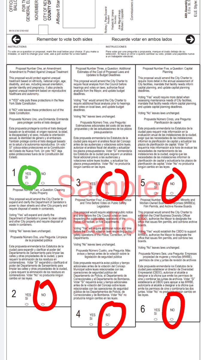 New York City voters! The ballot proposals are laid out in a kind of confusing way! Here’s a sample so you know what to look for on your ballot (plus some recommendations on how to vote 😁) #YesOnProp1 #Nix2through6