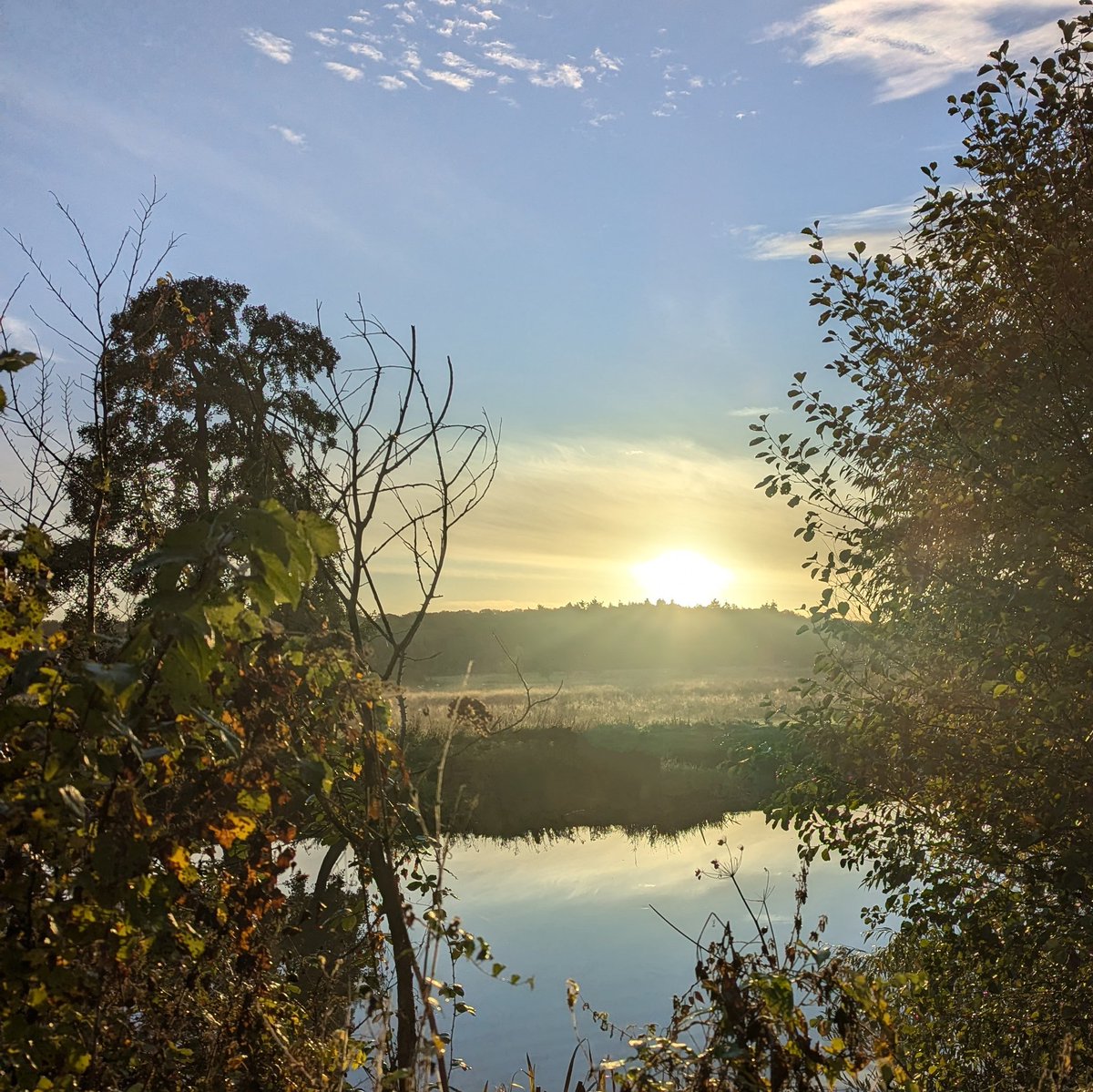 Warwick100B's tweet photo. Lots of geese at Hopyards at the moment. Sadly, we haven't been able to string any of them into anything other than Canada, Greylag and a few dirty hybrids, but we'll keep trying. π€£
At least the view is pretty...
#warwick100 https://t.co/Y2WsFNToPc