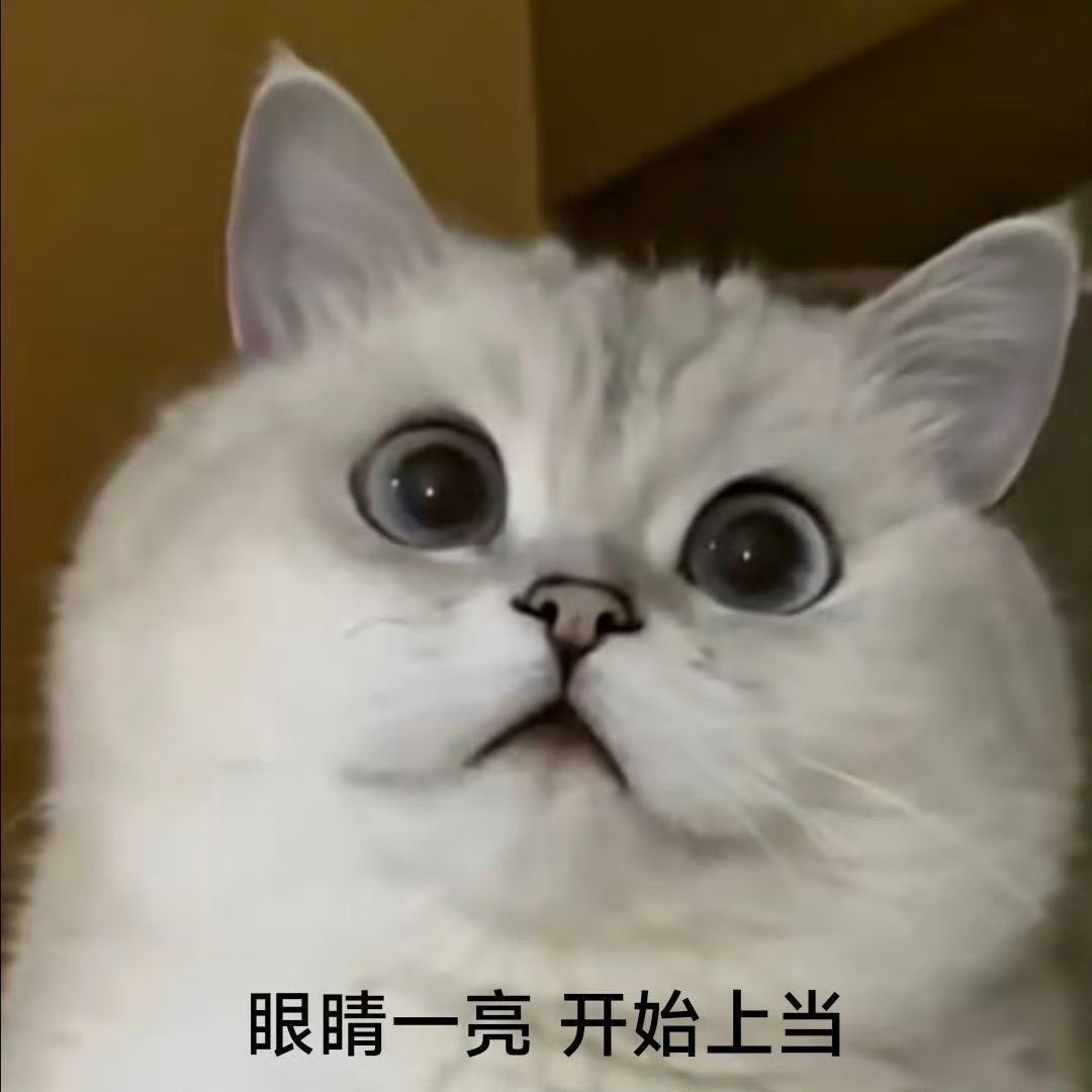 艾樂歪缇 tweet media