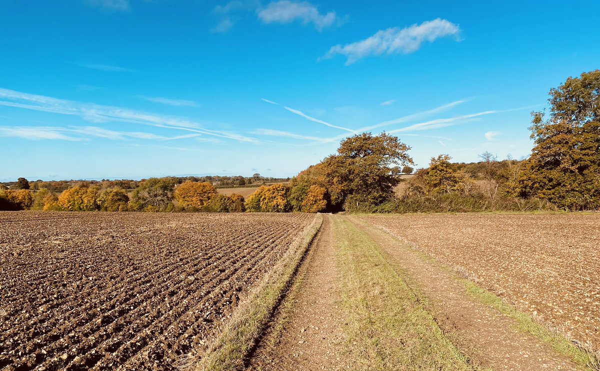 AAPresident's tweet photo. Beautiful autumnal day for a cycle ride. #thinkbikes https://t.co/9Ja0FkF5IV
