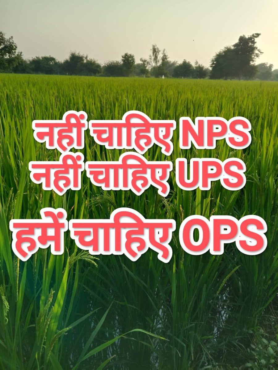 Tanvika Patel (@tanvikap) on Twitter photo 