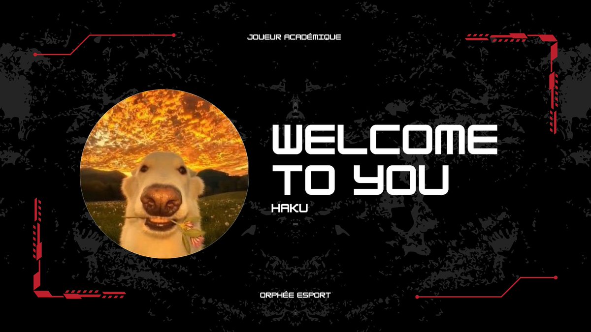 Orphée Esport tweet media