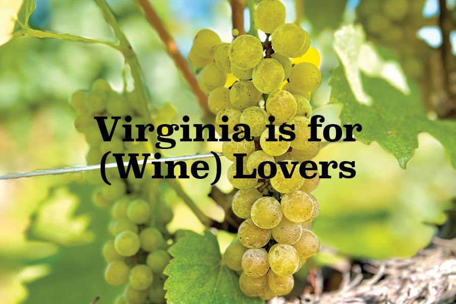 Virginia’s wine industry thrives with record-breaking awards and notable foreign investments, spotlighting the state’s evolving winemaking prowess. buff.ly/4gxOJ5v