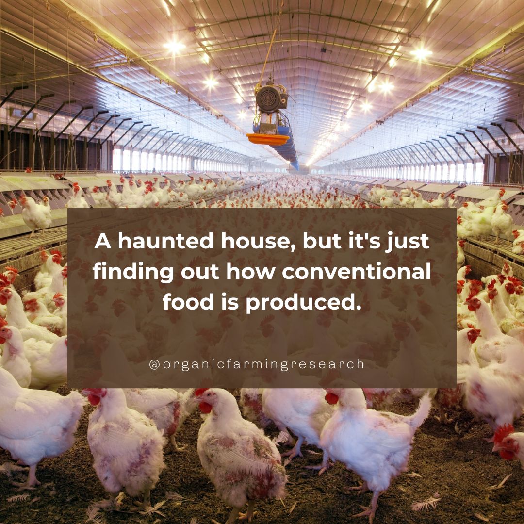 OrganicFarm Research tweet media