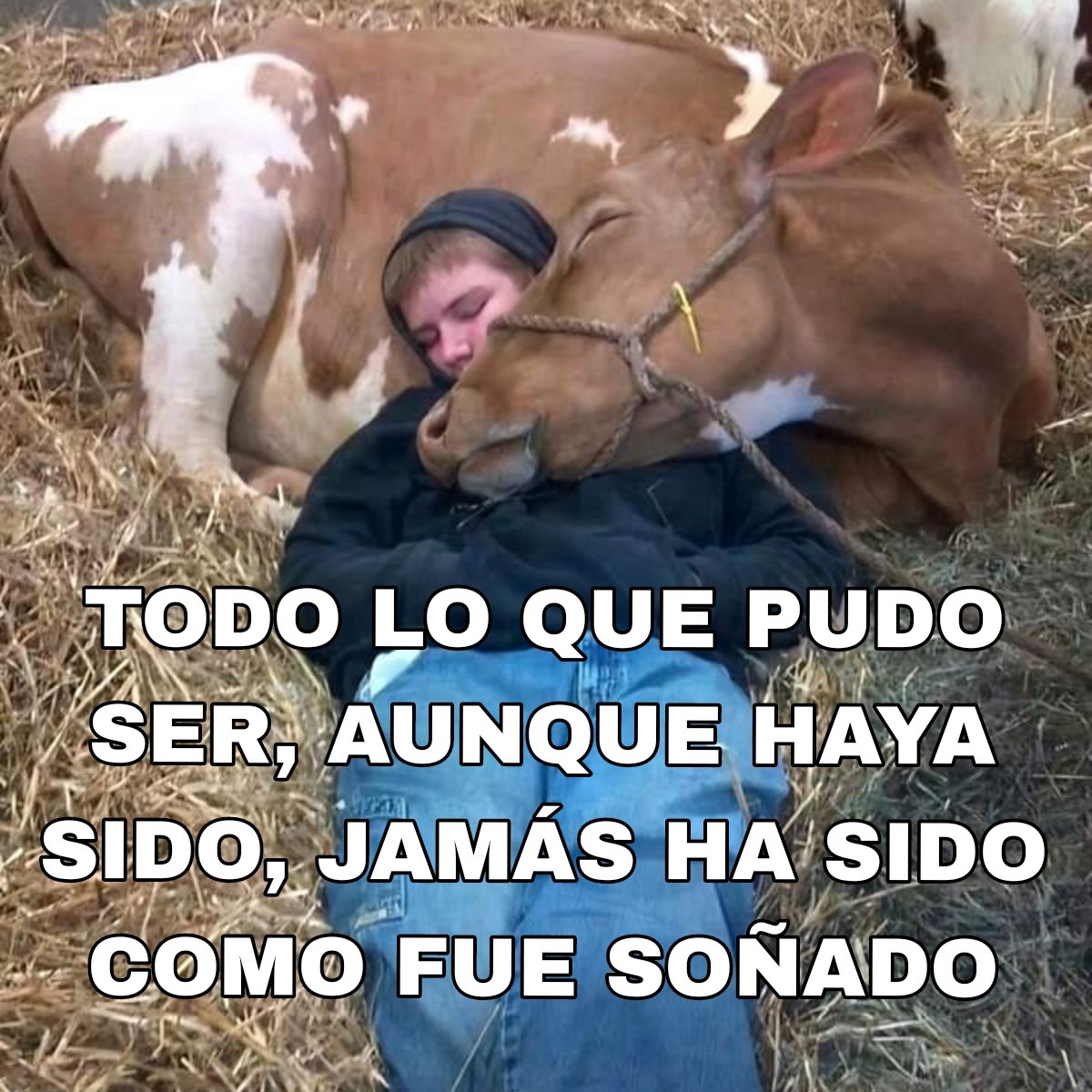 lamiradatrans's tweet photo. https://t.co/7yZqjmfVcV