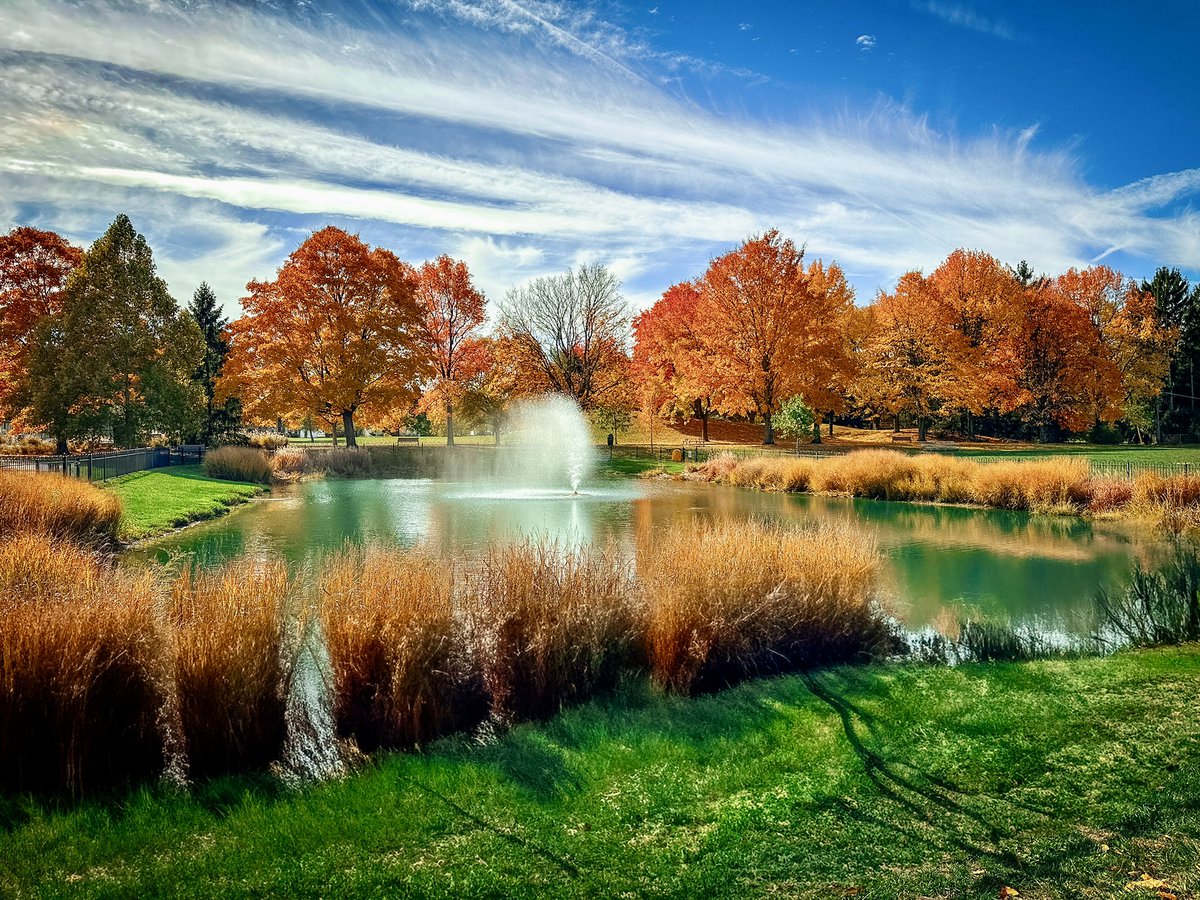 6-(DR)one-4 tweet media