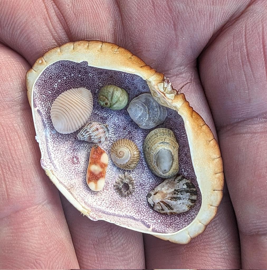 Martin Gray tweet media