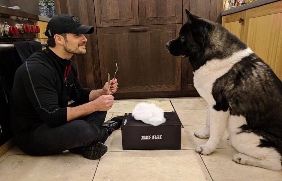 OLIVER.⠀

hey, so, i just adopted this big guy. meet marco, he’s a service dog. cool buddy.