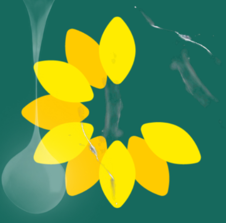 I am a SUPERFAN of this REBRAND! Wonderful work