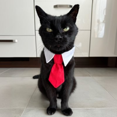 <a href="/CatsOnTap/">Beer Cats</a> <a href="/RushingDuck/">RushingDuck</a> adding <a href="/PepitoTheCat/">Pépito</a> 💜🐈‍⬛🐾