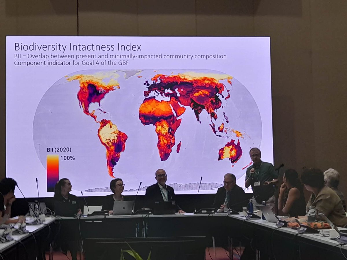 Dr. Alice C Hughes tweet media