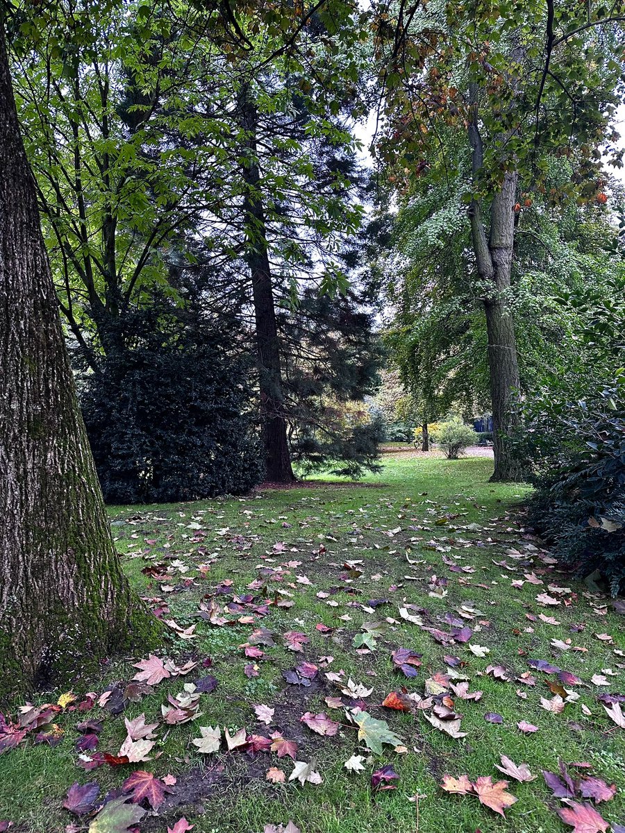 L’automne est arrivé au <a href="/JardinLuco/">Jardin du Luxembourg</a> 😊