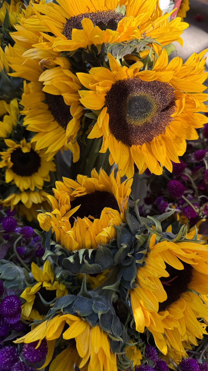 faceofmunchies's tweet photo. morning with @drink_diet_coke who saved me from staying inside all day ft the photo she took of our coffees, my big pancake, and some market flowers https://t.co/dyHWvzY0zk