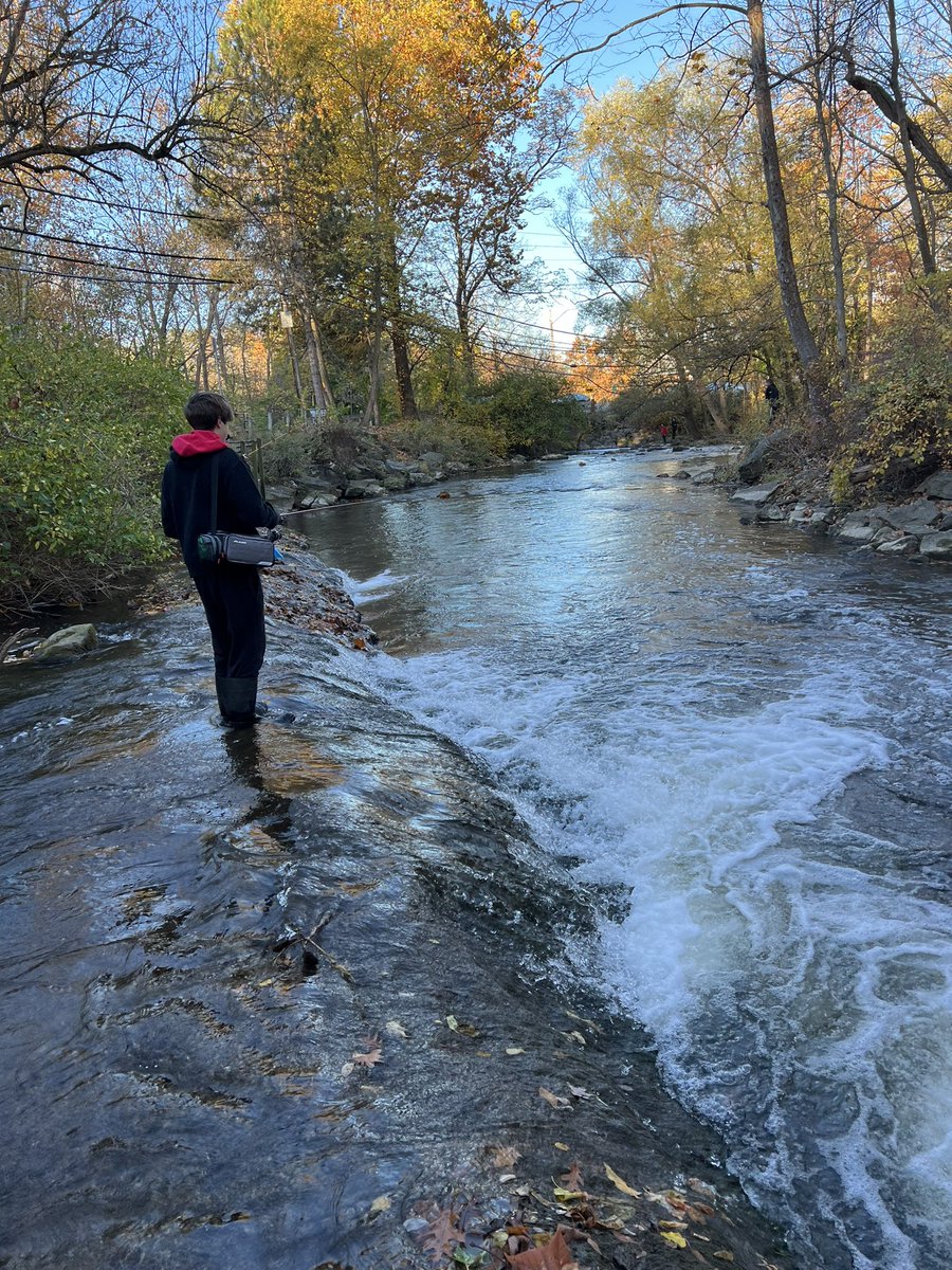 Bay Trail MS tweet media