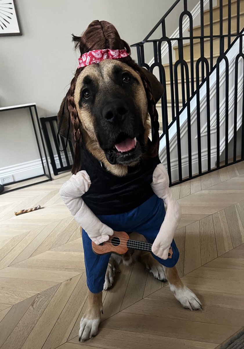 PFTCommenter's tweet photo. Blake (poor behavior this morning): OUT for the Dog Halloween costume. He had planned to attempt to try to particpate but unfortunately he will be a healthy scratch. Youngster misses a opportunity to build his legacy https://t.co/02FtkgKhDr