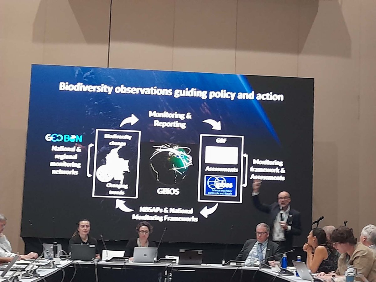 Dr. Alice C Hughes (@alicechughes) on Twitter photo Some great science in the Science Policy forum #COP16 highlighting the data we need to better monitor biodiversity and set practical targets to ensure it is adequately protected- a critical underpinning to the monitoring framework <a href="/GEOBON_org/">GEO BON</a> <a href="/n_ylime/">emily nicholson</a> <a href="/AndyPurvisNHM/">Andy Purvis (gone to where the skies are blue)</a> Some great science in the Science Policy forum #COP16 highlighting the data we need to better monitor biodiversity and set practical targets to ensure it is adequately protected- a critical underpinning to the monitoring framework <a href="/GEOBON_org/">GEO BON</a> <a href="/n_ylime/">emily nicholson</a> <a href="/AndyPurvisNHM/">Andy Purvis (gone to where the skies are blue)</a>