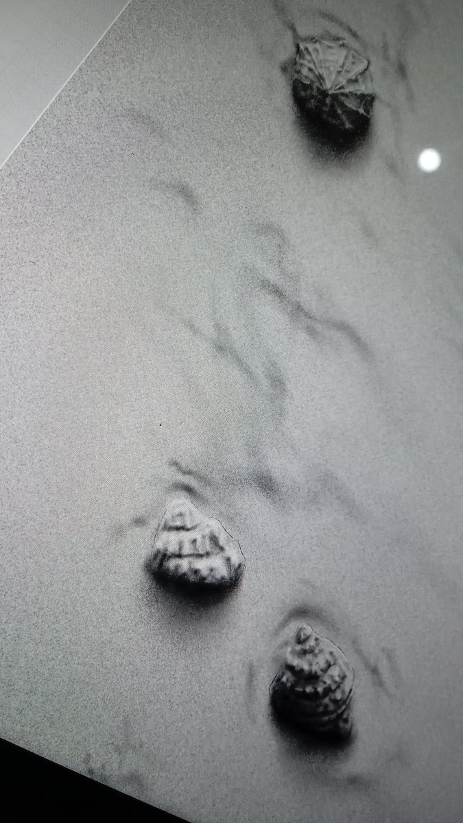 #wipart #WIP 
#art #digitalart