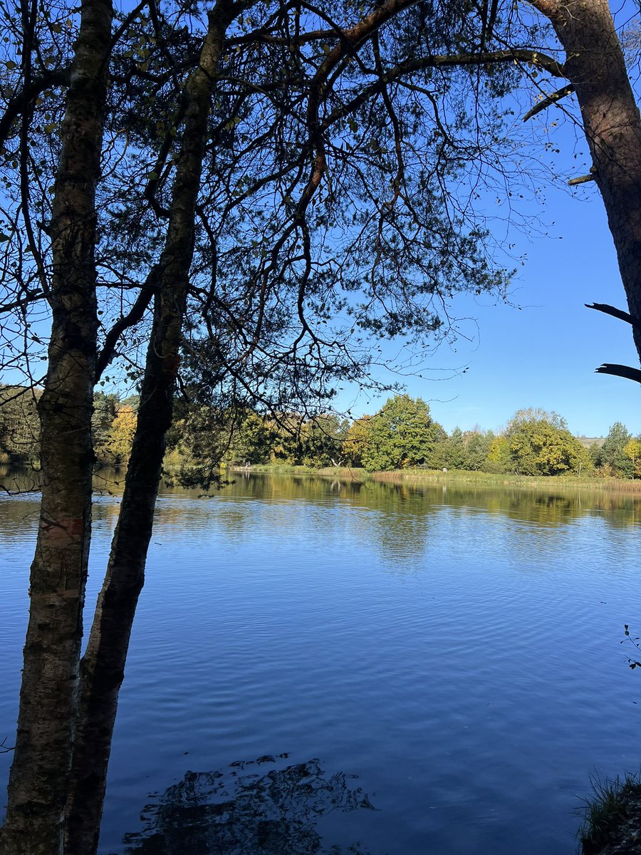DiggersDigby's tweet image. Been on an adventure run with Cani Cross group ! #sundayfunday