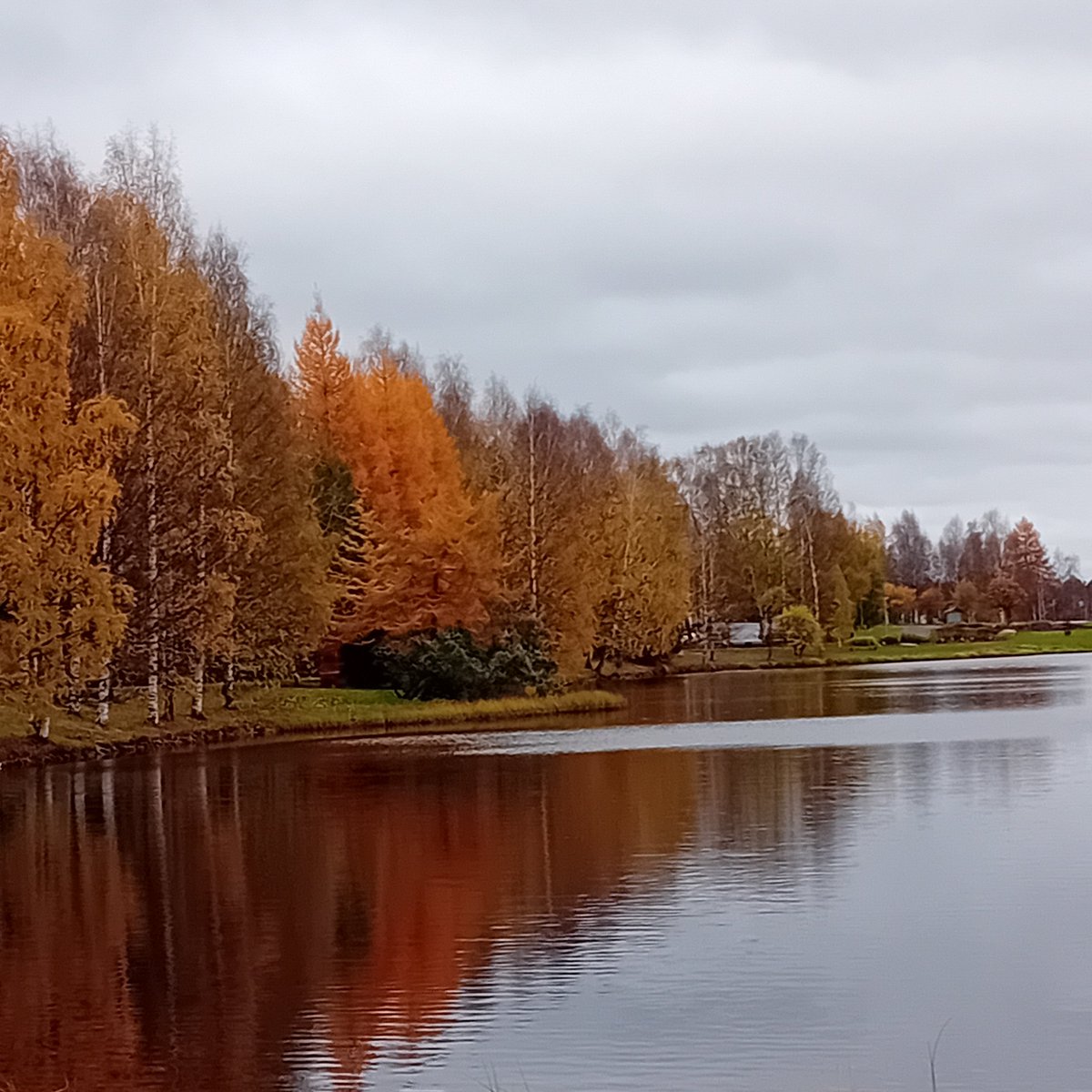 finkulturu's tweet photo. Rovaniemi'de güzel renklerin olduğu bir döneme denk geldim. Herhalde bu şehirden en çok bu renkleri özleyeceğim. https://t.co/DgxqyBAmcQ