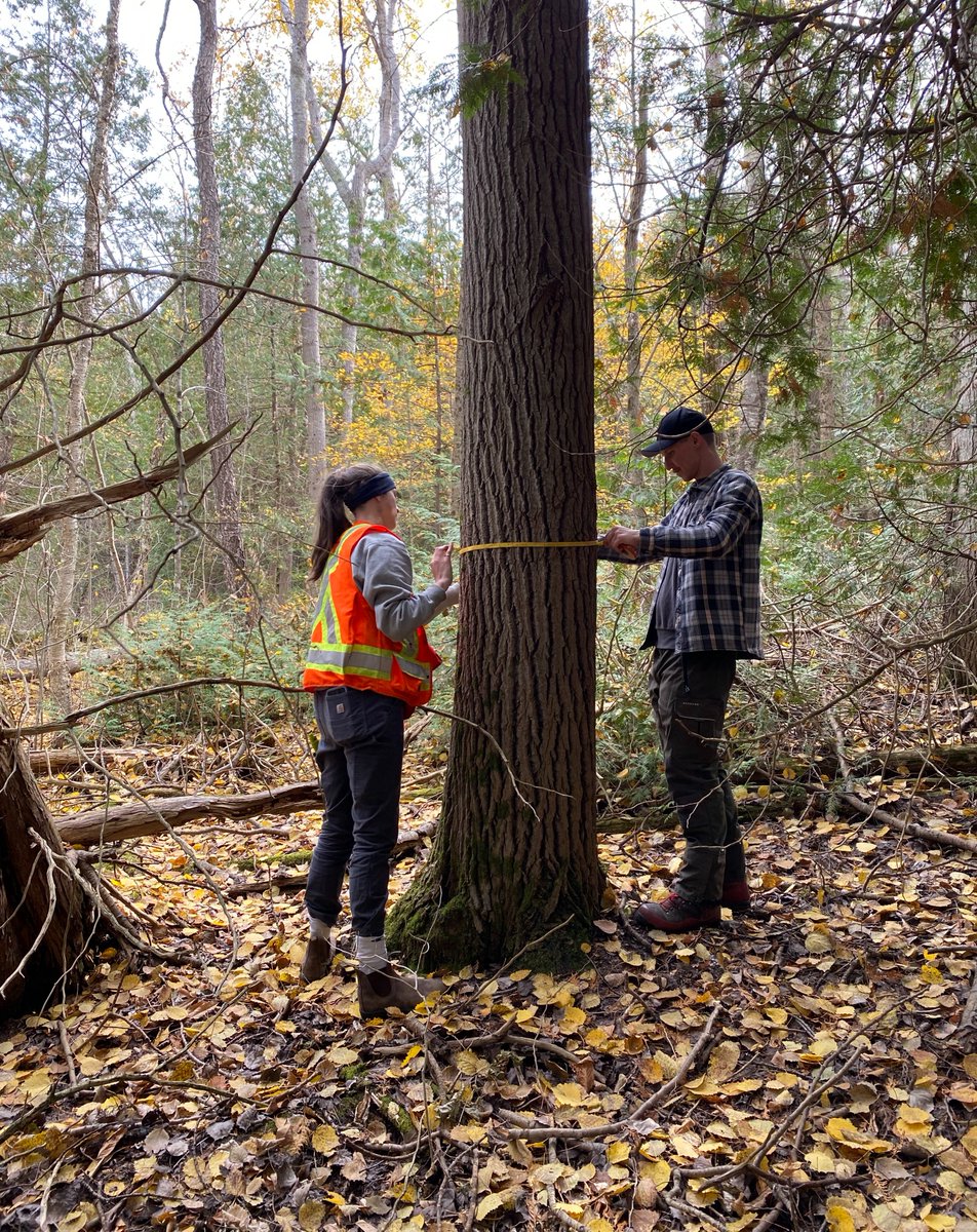 Ontariowoodlot tweet media