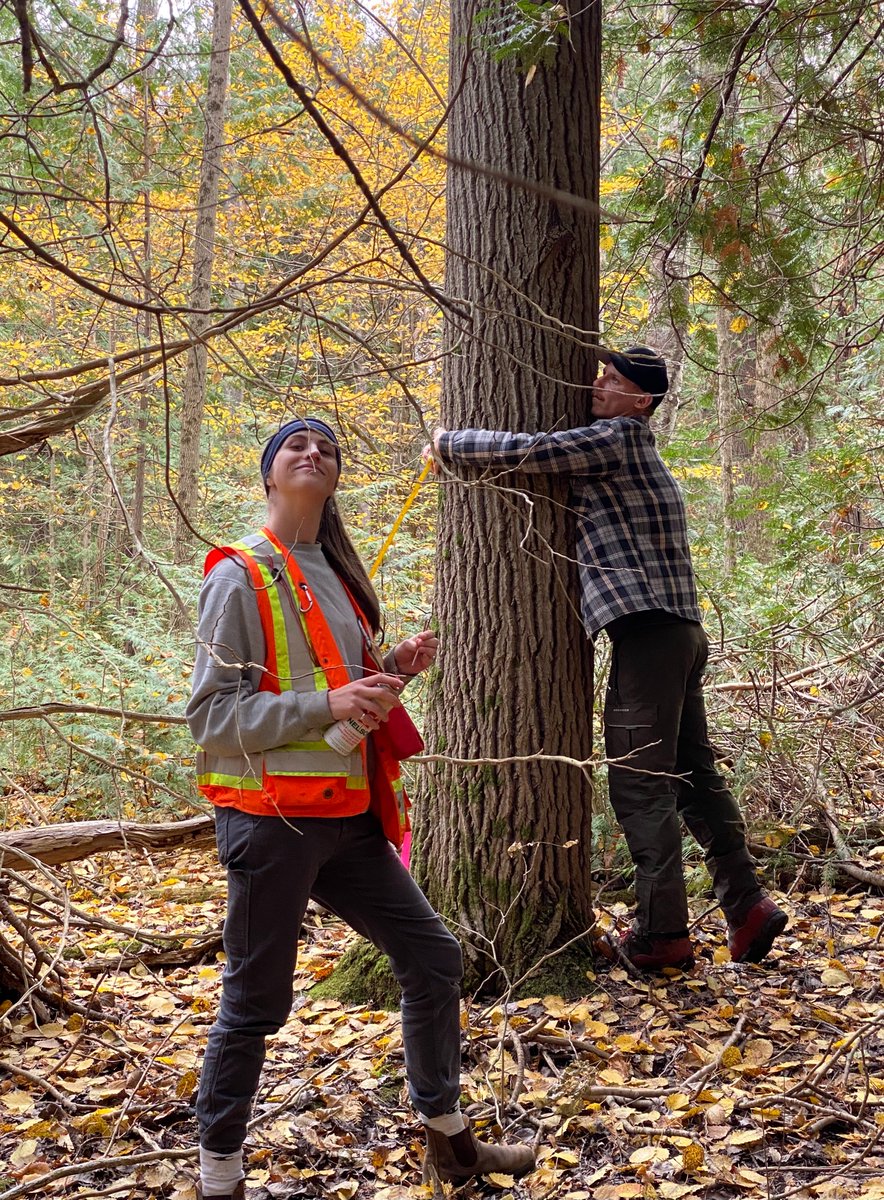 Ontariowoodlot tweet media