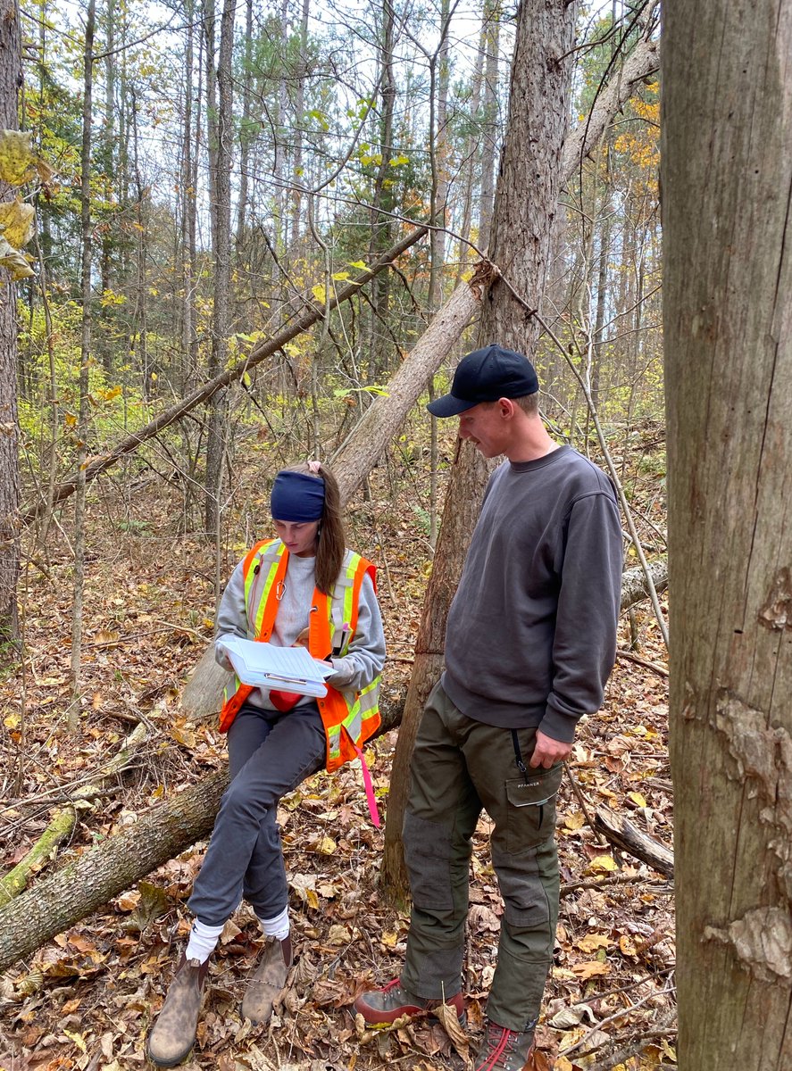 Ontariowoodlot tweet media
