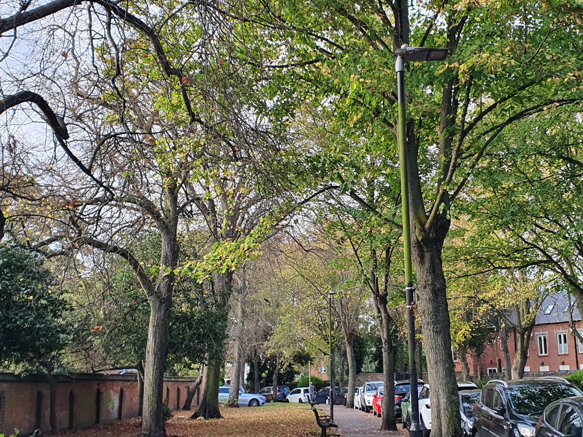 Loughborough East is so pretty in the Autumn 🍂