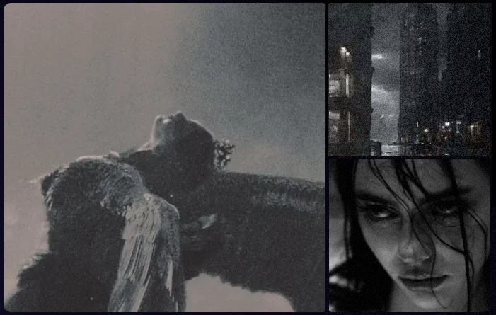 ( ARCHIVED ACCOUNT FOR BLACK SWAN OC - MOVED ) tweet media