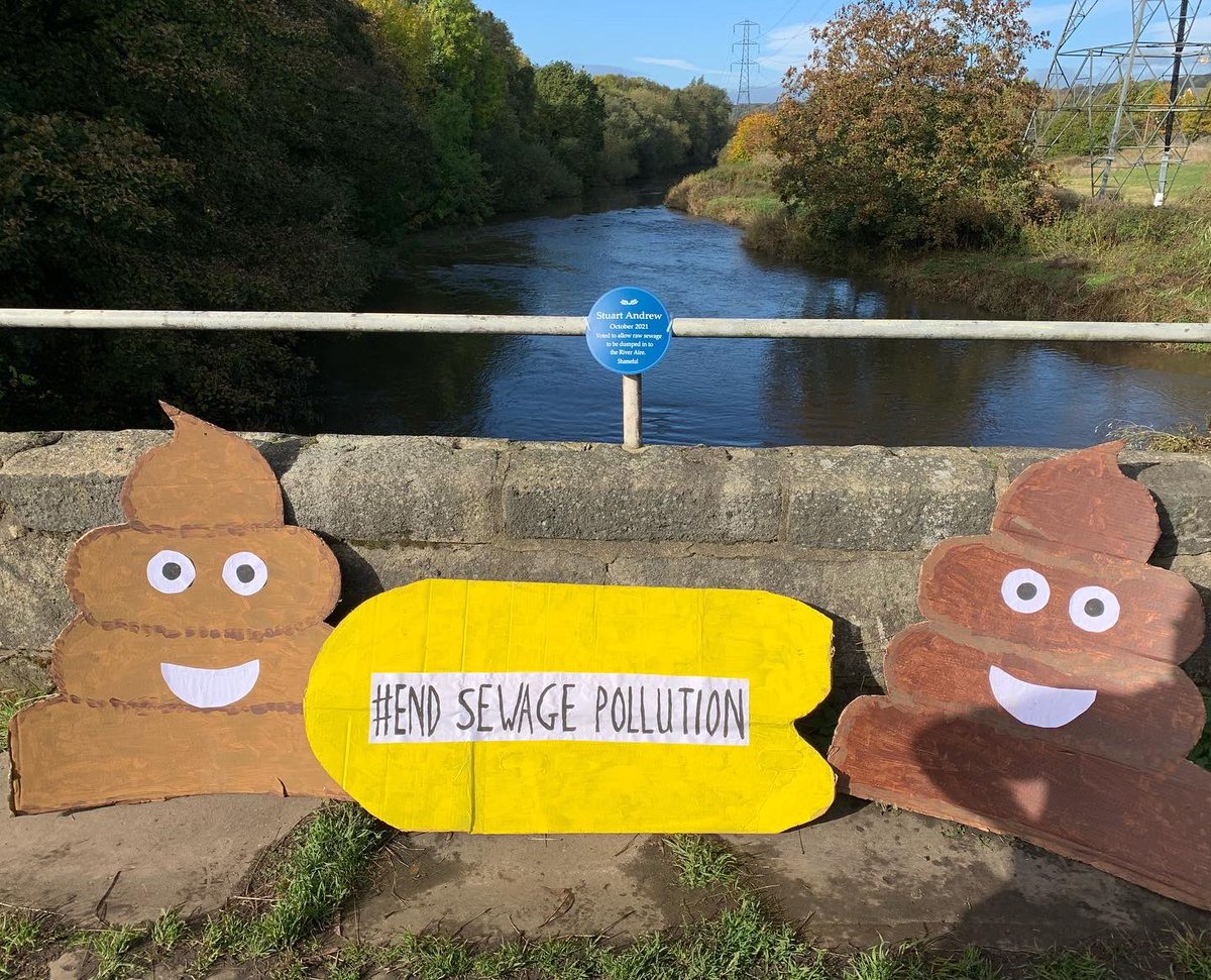 Plastic free NW Leeds 🐟🌎🐝🇪🇺 tweet media