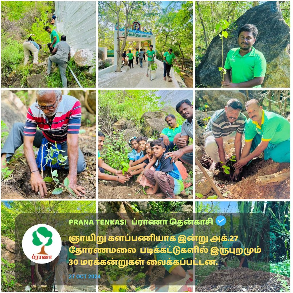 Pranatenkasi's tweet image. இன்று தோரணமலையில் வெற்றிகரமாக 30 மரக்கன்றுகள் நடப்பட்டது. கோவில் நிர்வாகம் சார்பில் வைக்கப்பட்டிருந்த மரக்கன்றுகள், பாத்தி அமைத்து தண்ணீர் பாய்ச்சப்பட்டன.

#Oct27 #Sunday #Pranatenkasi