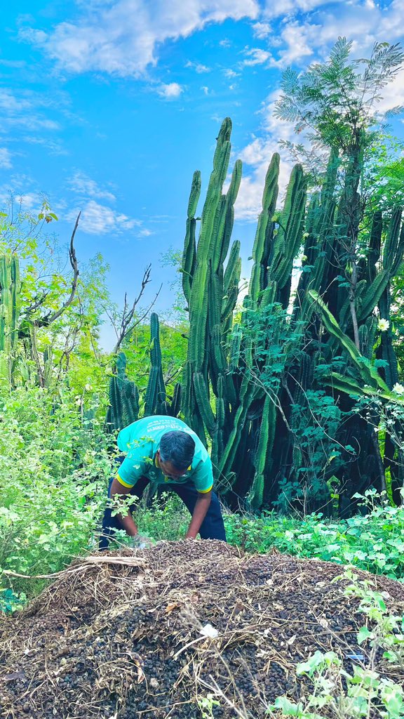 Pranatenkasi's tweet image. இன்று தோரணமலையில் வெற்றிகரமாக 30 மரக்கன்றுகள் நடப்பட்டது. கோவில் நிர்வாகம் சார்பில் வைக்கப்பட்டிருந்த மரக்கன்றுகள், பாத்தி அமைத்து தண்ணீர் பாய்ச்சப்பட்டன.

#Oct27 #Sunday #Pranatenkasi