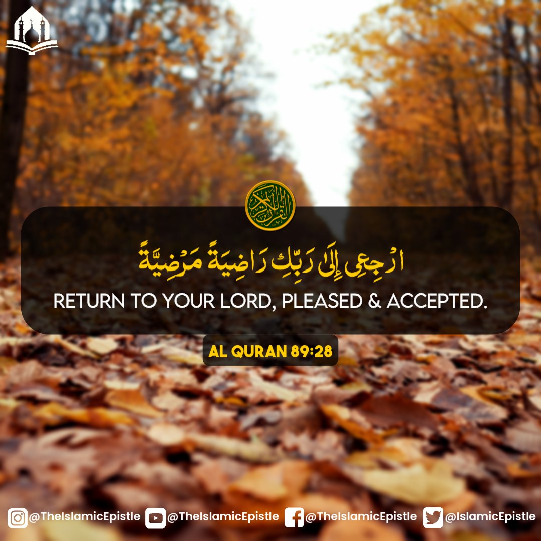 IslamicEpistle's tweet photo. 🌼 : (Surah Al-Fajr 89:28)

#Islam #Quran #QuranTranslation #IslamicReminder #Quranverse https://t.co/si7ywlEuch
