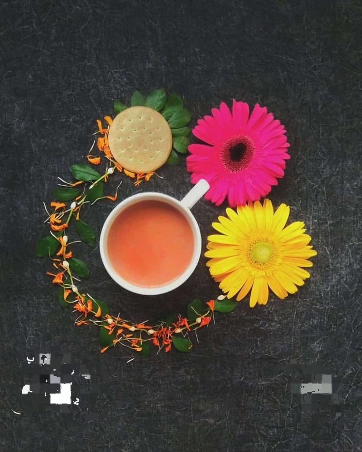 اچھی بات پڑھ ڪر یا سن کر عمل ڪرنے کی کوشش کیا کریں، ویسے اگر ساری زندگی بھی پـــڑھتے رہے یا سنتے رہے تو ڪچھ فائدہ نہیں ملنے والا جب تک اس پر عمـــــــل ڪرنے ڪی کوشش نہ کی جائے🌼🤍