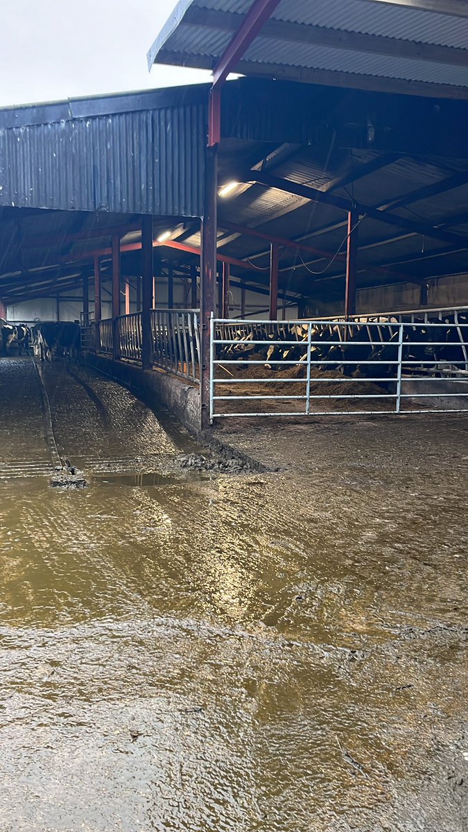 Jerry Moloney tweet media