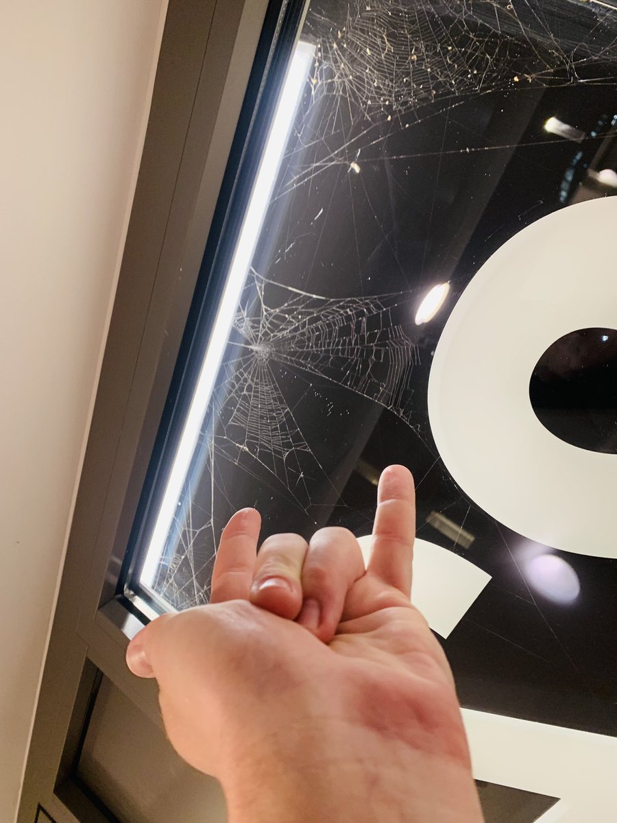 thekeecomedy's tweet image. OK, there are some upsides to the fact that nobody cleans our building entrance🕷️🕸️🗑️ #TheKeeComedy #SpiderMan #CleanIt