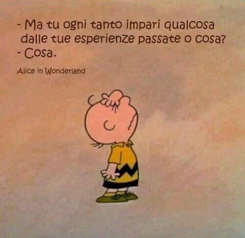 ENobili's tweet photo. Cosa. 😅 https://t.co/AhkrMuESho