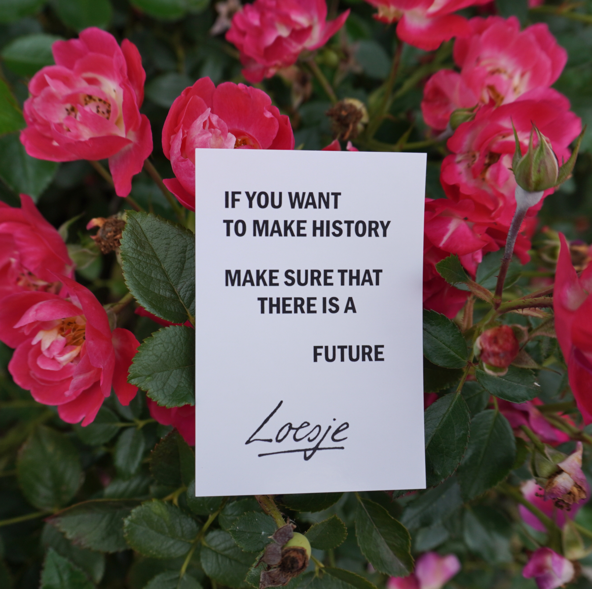 Too many monuments 
      weigh down on the future

#Loesje 
#future #past #history #peace #peacenotwar