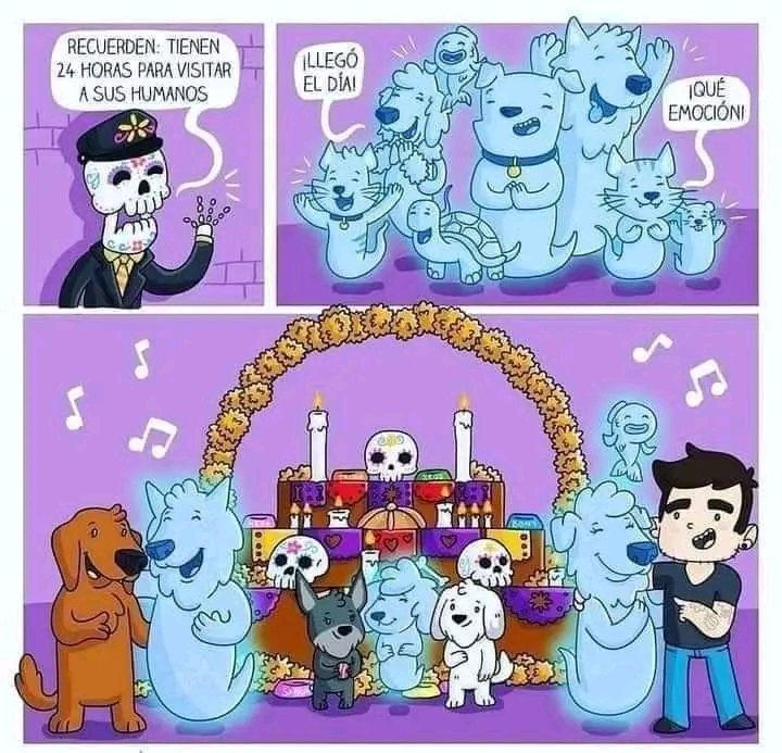 DefensaAnimal's tweet photo. ¡Bienvenidos! ¡Los hemos extrañado mucho! 🤗🐾🐶🐱🌼
En la tradición de Día de Muertos se cree que el alma de nuestros animales llega en este día, el 27 de octubre. 
¿Les tienes preparado algo en tu ofrenda? 
Imagen: @Tiofelino https://t.co/Uh2Gcs42IB