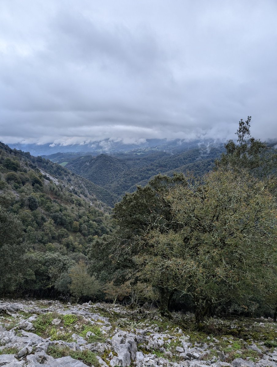 Andoni Mateos Cabero tweet media