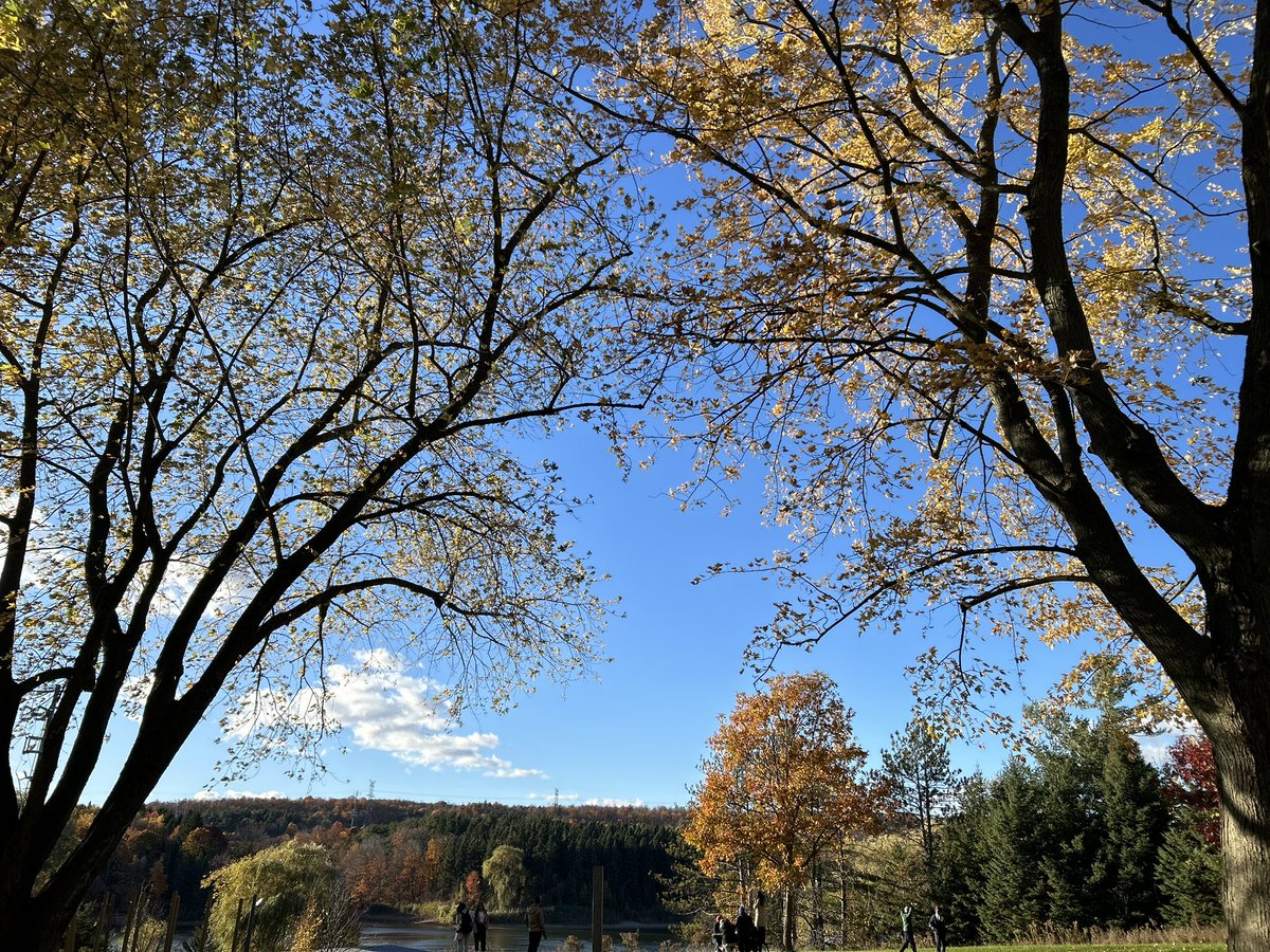 animasinghA901's tweet photo. #fall "The wind is rising, and the air is wild with leaves. We have had our summer evenings; now for October eves!" - Humbert Wolfe #fallseason https://t.co/RIFCZQq89v