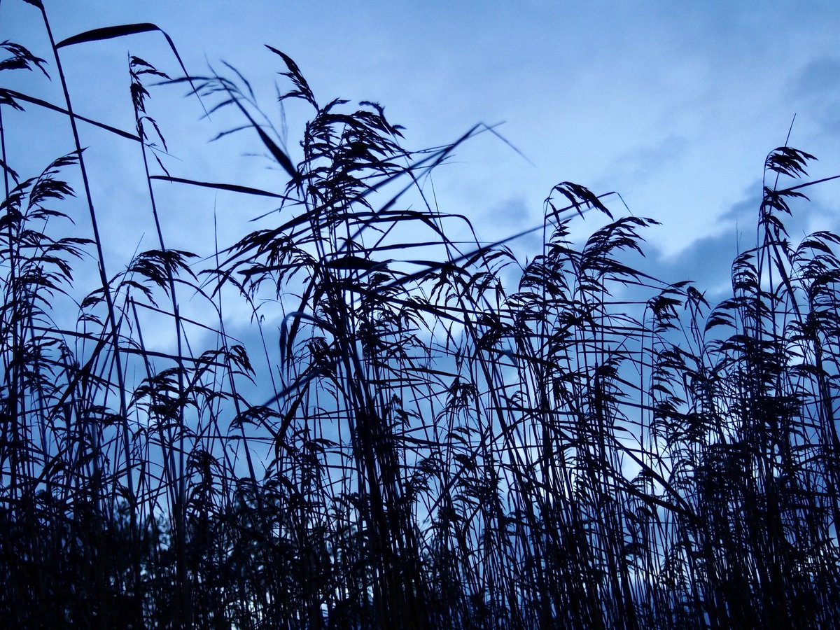 Talking about life-altering illness is a big thing; but with the team I was in the most caring &amp; supportive environment, meaning I could tell my story with honesty &amp; dignity. 
To have had the opportunity to talk about nature &amp; chronic illness was a privilege.