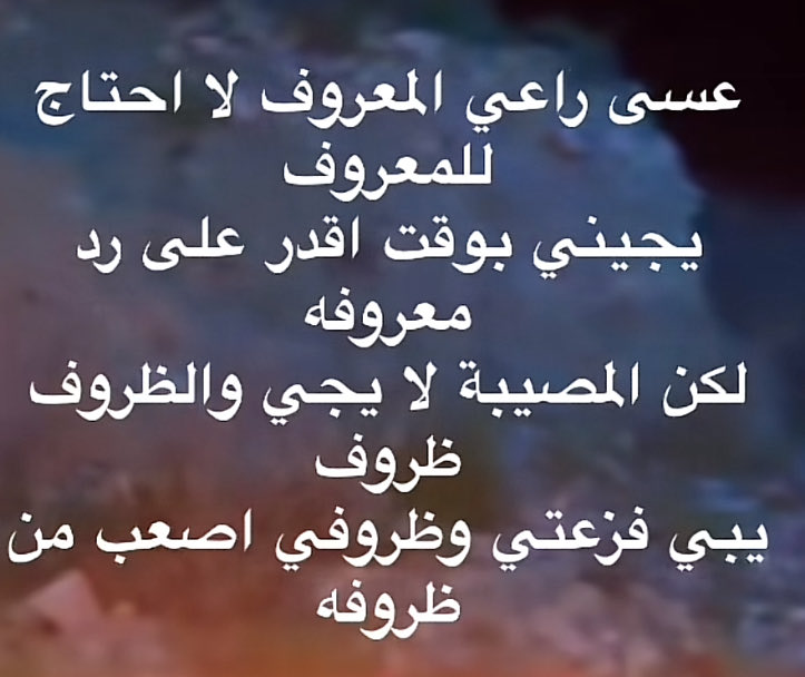 الوافي إبن محسن الثقفي🇸🇦 tweet media