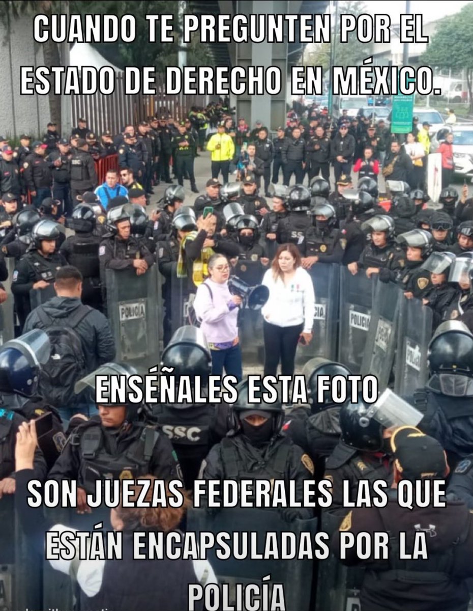 El tiburón de la independencia judicial  (@carlosarteagato) on Twitter photo 