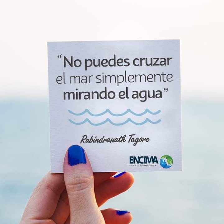 🔥Recuerda, eres lo que haces, no lo que dices que vas hacer...
#BuenosDíasATodos☀️!
#FelizDomingo ✔#Sinaloa 🍅
Presidente Estatal de ENCIMA A.C.
#DanielAmador 🤝